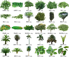高清树木花卉绿植免抠贴图素材 