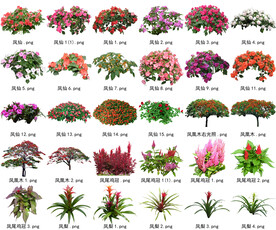 高清树木花卉绿植免抠贴图素材 
