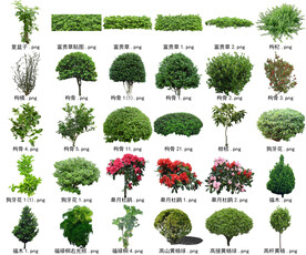 高清树木花卉绿植免抠贴图素材 
