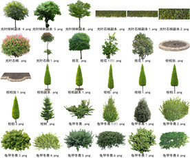 高清树木花卉绿植免抠贴图素材 
