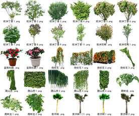 高清树木花卉绿植免抠贴图素材 