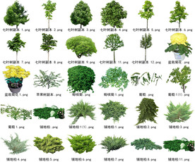 高清树木花卉绿植免抠贴图素材 