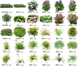 高清树木花卉绿植免抠贴图素材 