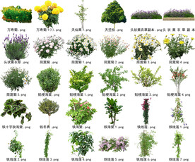 高清树木花卉绿植免抠贴图素材 