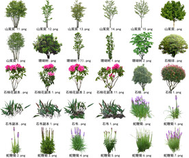 高清树木花卉绿植免抠贴图素材 