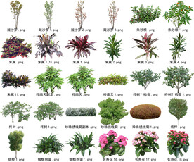 高清树木花卉绿植免抠贴图素材 