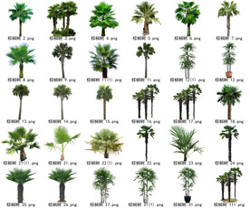 高清树木花卉绿植免抠贴图素材 