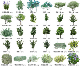 高清树木花卉绿植免抠贴图素材 