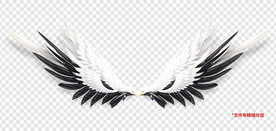 酷炫黑白动漫卡通羽毛翅膀