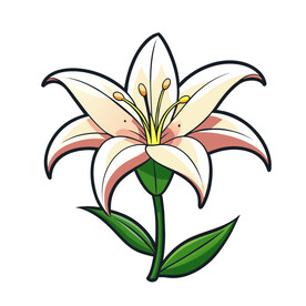 矢量植物花朵百合花