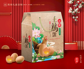 土鸡蛋包装 土特产礼盒