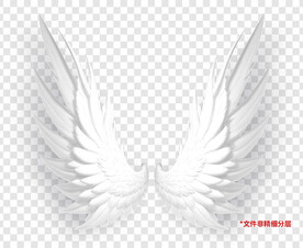 白色动漫卡通羽毛翅膀