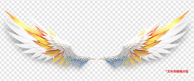 酷炫彩色动漫卡通羽毛翅膀