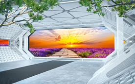 熏衣草田3D电视背景墙