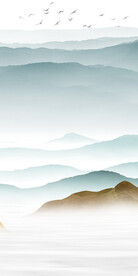 人气 最新高档玄关 TiF分层