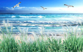 海边沙滩客厅电视背景墙