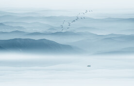 客厅中式山水背景墙