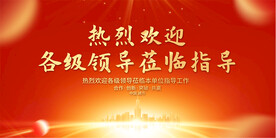热烈欢迎领导展板