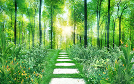 树林过道绿色背景墙