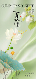 夏至海报