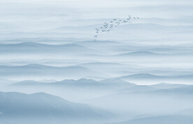 禅意山水水墨画