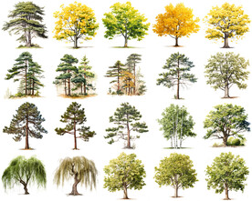 高清树木花卉绿植免抠贴图   