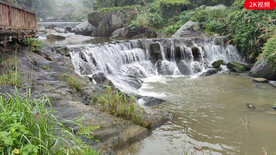 横版溪流流水视频