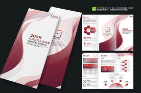 高端大气商务项目计划三折页