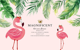 小清新火烈鸟背景