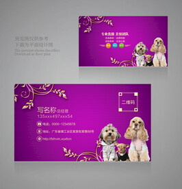 宠物店名片