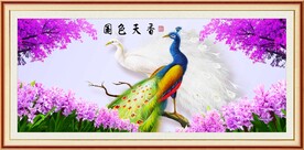 孔雀图