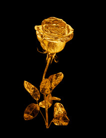 玫瑰花 金属质感