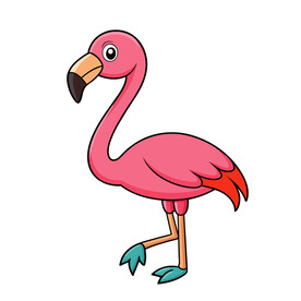 矢量动物鸟类一只火烈鸟