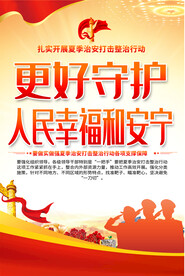 夏季治安打击整治行动海报