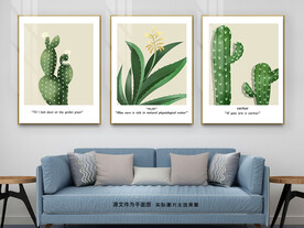 北欧简约仙人掌芦荟三联画