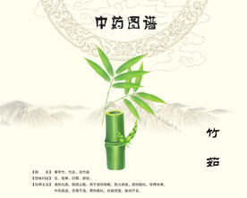 竹茹