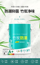 竹炭防潮法国A标