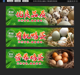 土鸡蛋展板