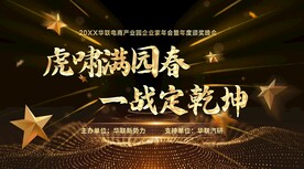 高峰论坛 黑金色背景 