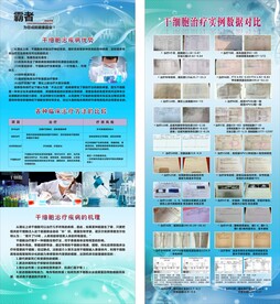 干细胞效果对比