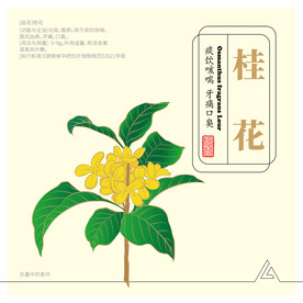 中药素材