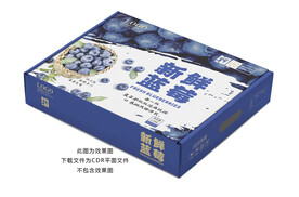 蓝莓包装礼盒