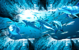 海底世界时尚冰山背景墙