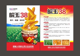 玉米单页