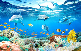 海底世界3D背景墙