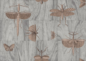 木纹蝴蝶肌理图案