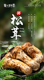松茸海报
