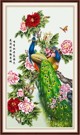 花开富贵孔雀图