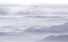 公司前台山水画背景墙