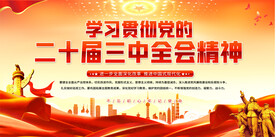 学习党的二十届三中会全精神展板